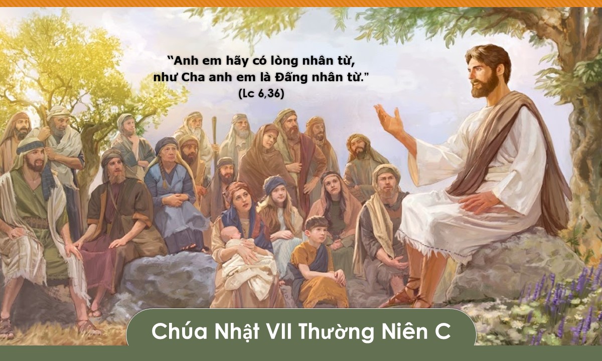 Thế giới của ân với nghĩa - Chúa Nhật VII TN Năm C - Lm. GB. Võ Khắc Duy, O.P.