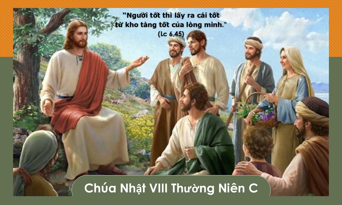 Sợ bị bỏ lỡ - Chúa Nhật Tuần VIII TN - Lm. GB. Võ Khắc Duy OP