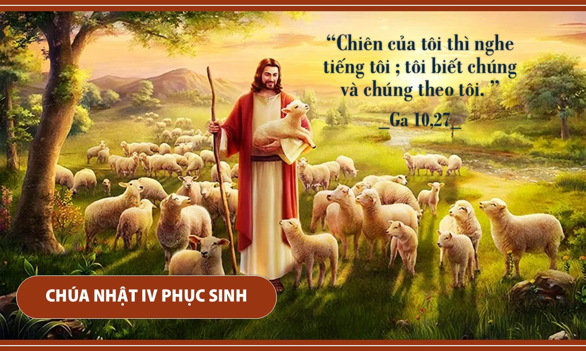 Thế giới cần bạn - Chúa Nhật IV Phục Sinh - Lm GB Võ Khắc Duy, O.P.