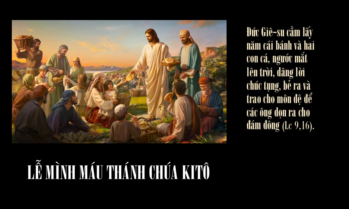 Hãy cho họ ăn - Lễ Mình Và Máu Thánh Chúa Kitô - Lm GB Võ Khắc Duy OP.