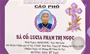 rip ba co lucia pham thi ngoc than mau cua linh muc gioan pham hoang sinh o.p. rip 2019
