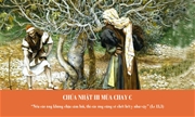 Sám hối là gì - Chúa Nhật III Mùa Chay C - Lm. GB Võ Khắc Duy OP.