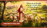 Thế giới cần bạn - Chúa Nhật IV Phục Sinh - Lm GB Võ Khắc Duy, O.P.